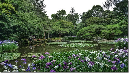 Kyoto Japan (16)