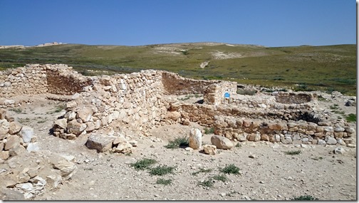 Tel Arad  Southern Israel (38)