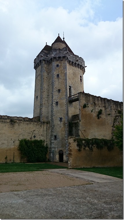 Blandy-les-Tours Castle France (11)
