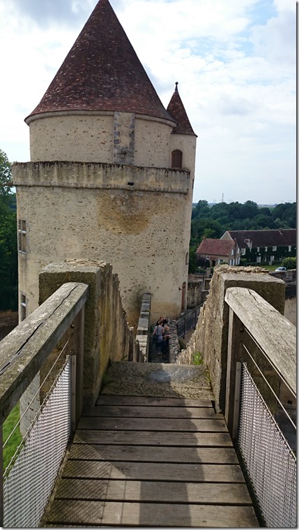 Blandy-les-Tours Castle France (22)