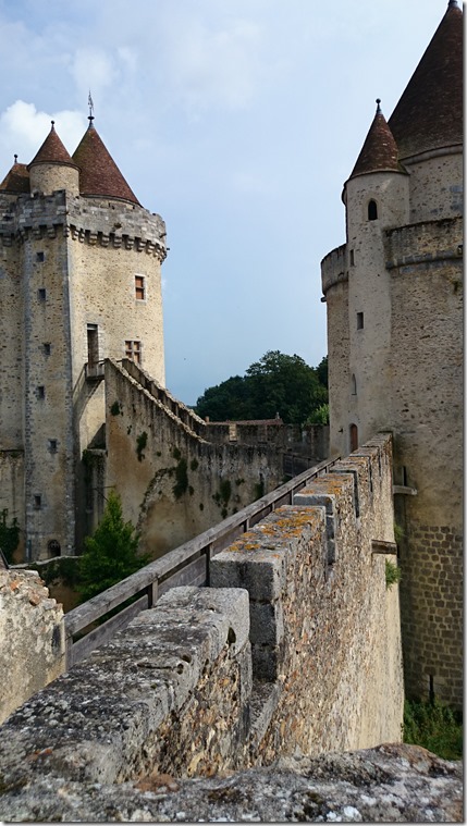 Blandy-les-Tours Castle France (25)