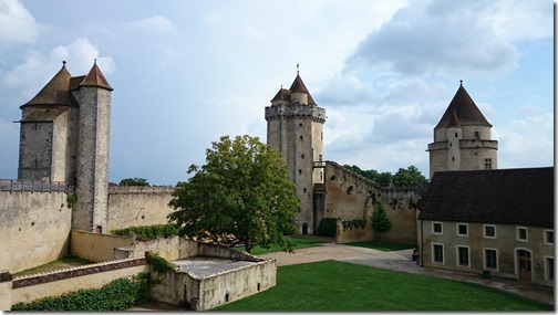 Blandy-les-Tours Castle France (28)