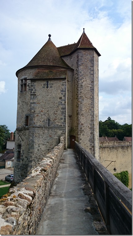 Blandy-les-Tours Castle France (30)