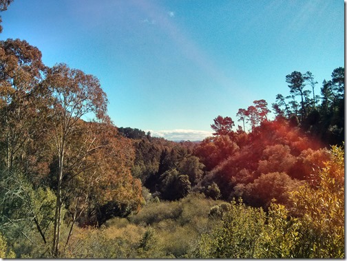 Redwood Regional Park - Oakland California-012