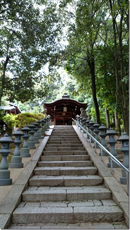 Tōfuku-ji Temple  Kyoto (22)