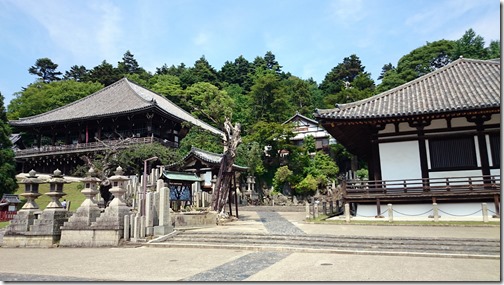 Temple path Nara Japan (10)