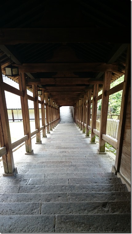 Temple path Nara Japan (19)