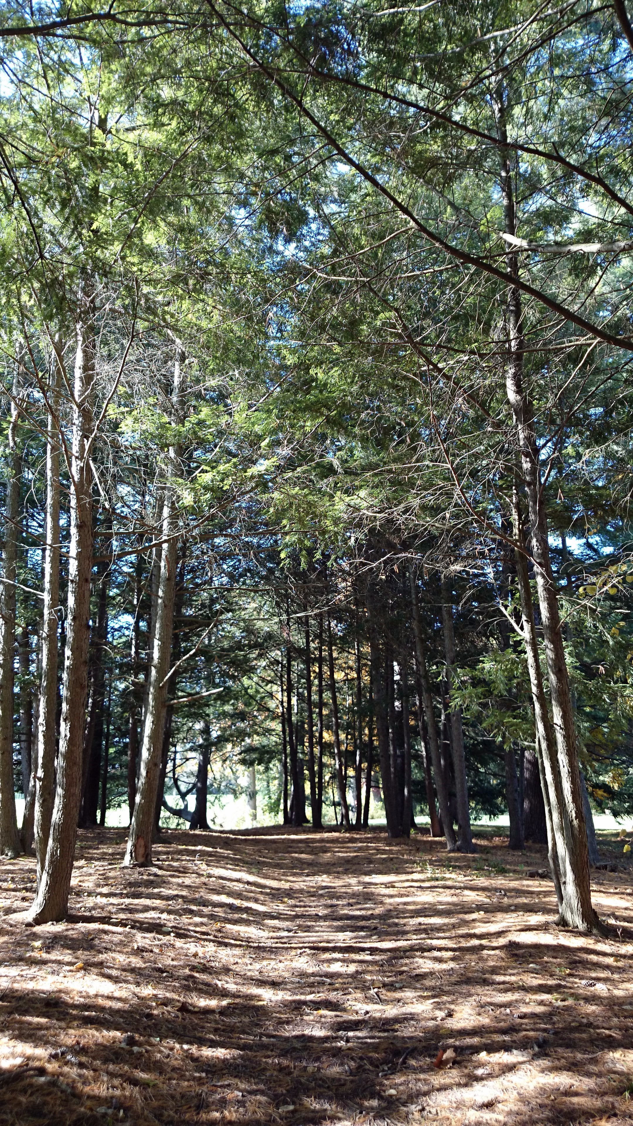 Robert Allerton Park UIUC Illinois Visions of Travel