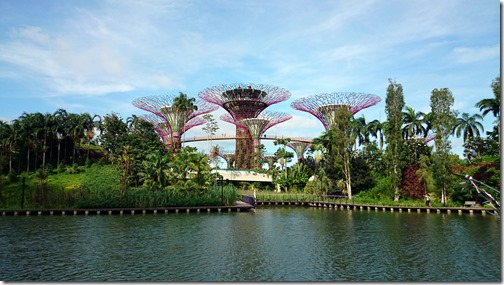 Singapore Gardens by the Bay-004
