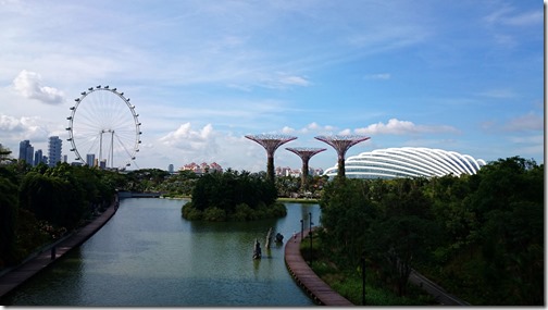 Singapore Gardens by the Bay-013