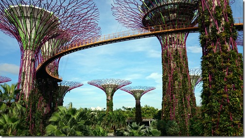 Singapore Gardens by the Bay-016