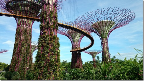 Singapore Gardens by the Bay-017