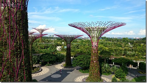 Singapore Gardens by the Bay-048