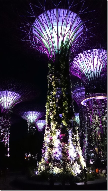 Singapore Gardens by the Bay-079