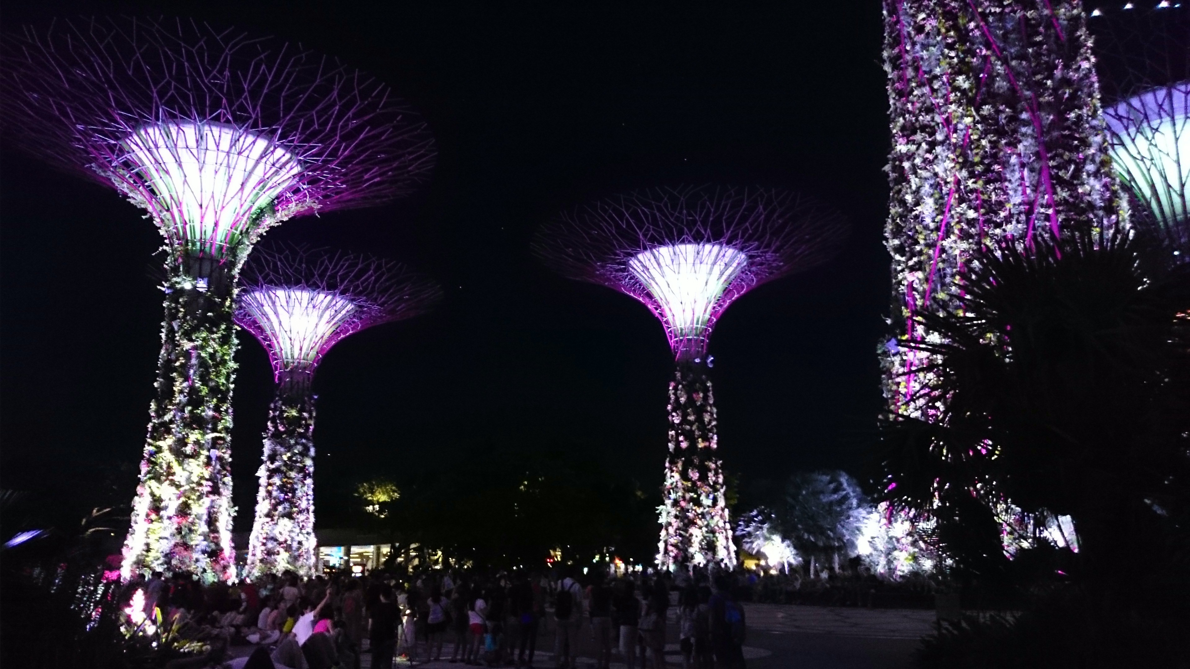 Gardens by the Bay – Super trees Grove & Skyway : Singapore | Visions
