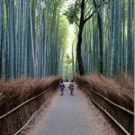 Bamboo Forest & gorgeous walks : Arashiyama Kyoto