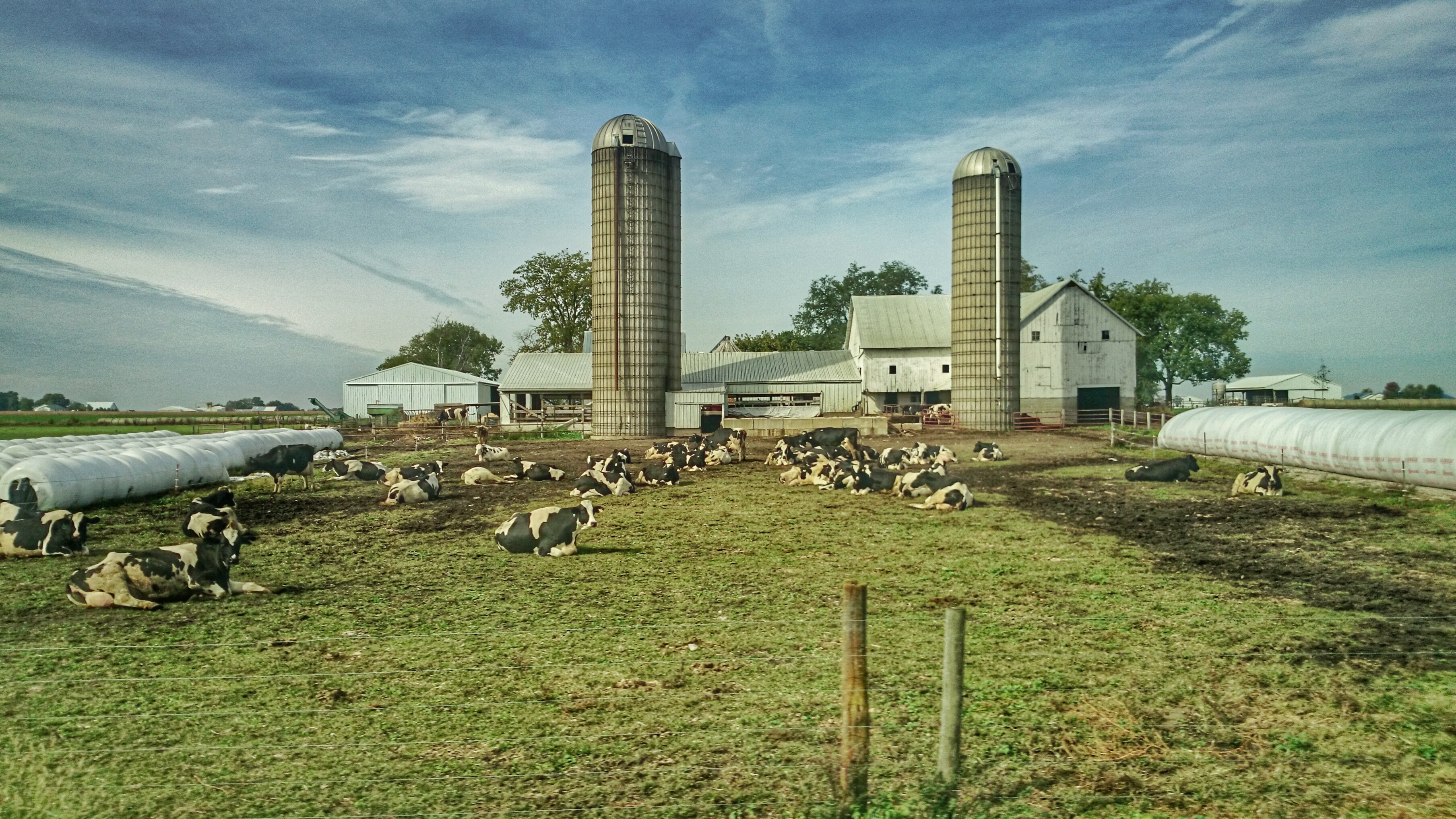 Illinois Amish Country Arthur Arcola Visions of Travel