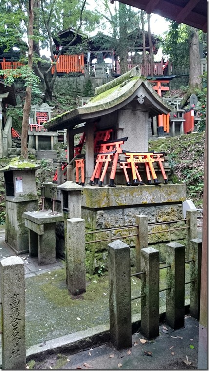 Fushimi Inari Kyoto (14)