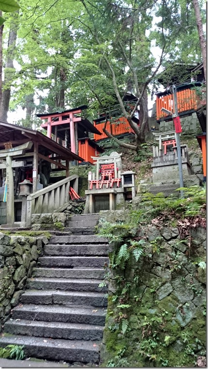 Fushimi Inari Kyoto (16)