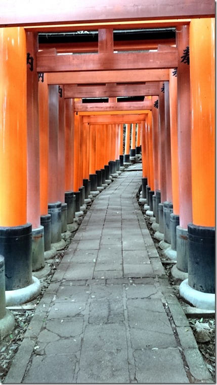 Fushimi Inari Kyoto (20)