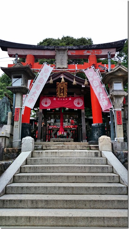 Fushimi Inari Kyoto (22)