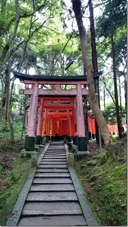 Fushimi Inari Kyoto (29)