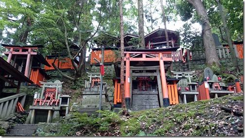 Fushimi Inari Kyoto (44)