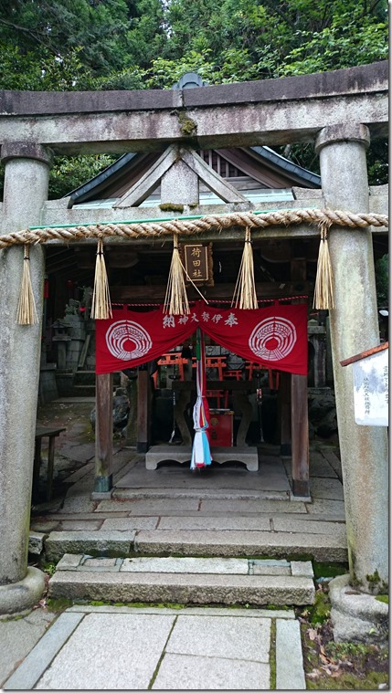 Fushimi Inari Kyoto (48)