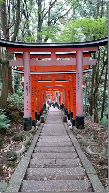 Fushimi Inari Kyoto (50)