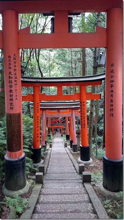 Fushimi Inari Kyoto (51)