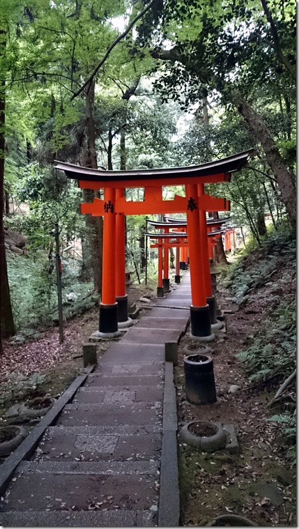 Fushimi Inari Kyoto (52)