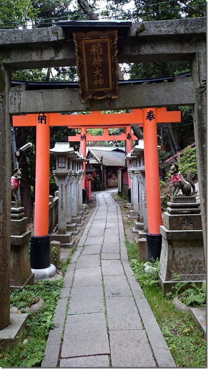 Fushimi Inari Kyoto (53)