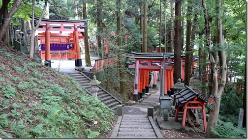 Fushimi Inari Kyoto (55)