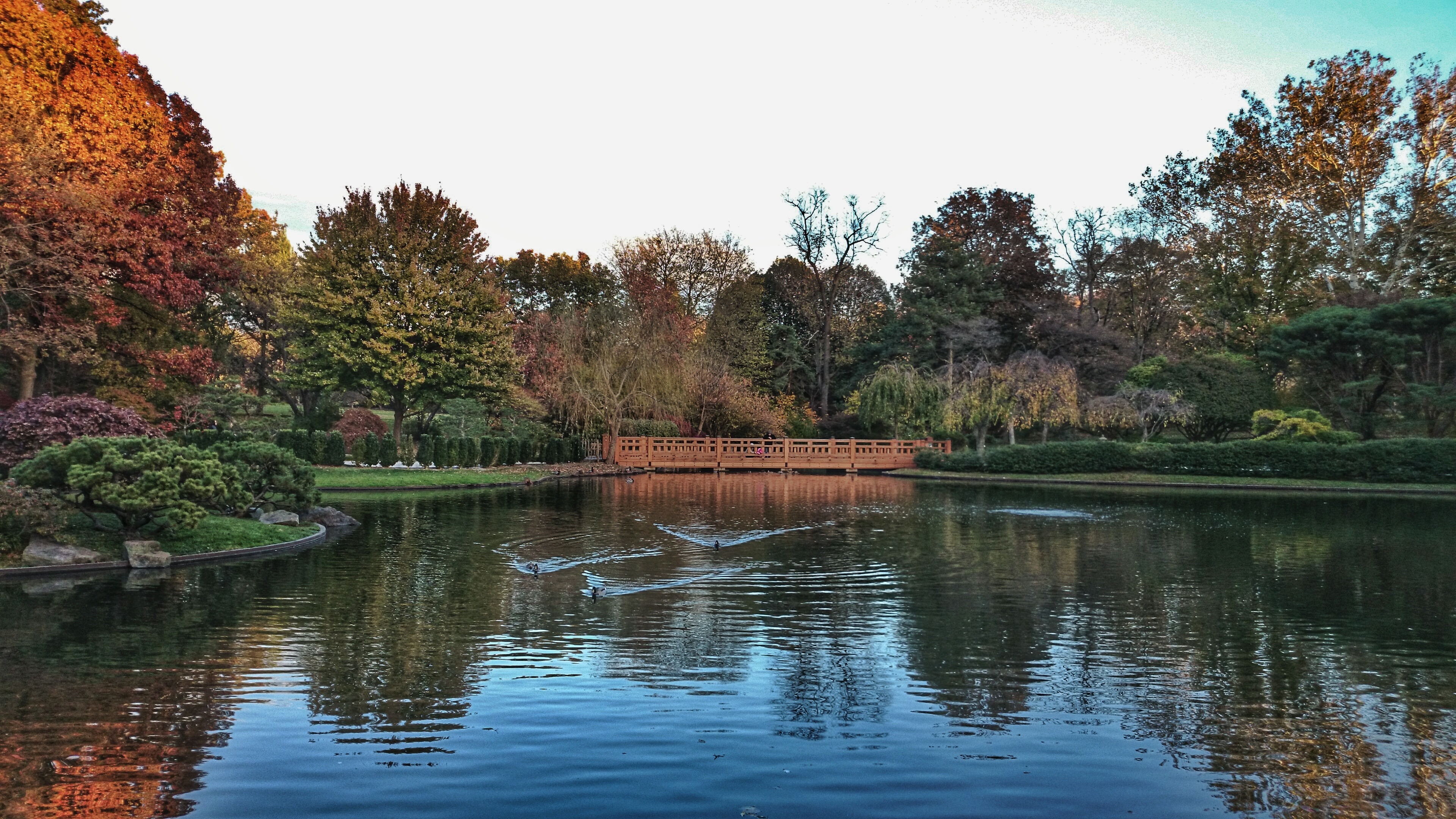 Missouri Botanical Garden : Saint Louis | Visions of Travel