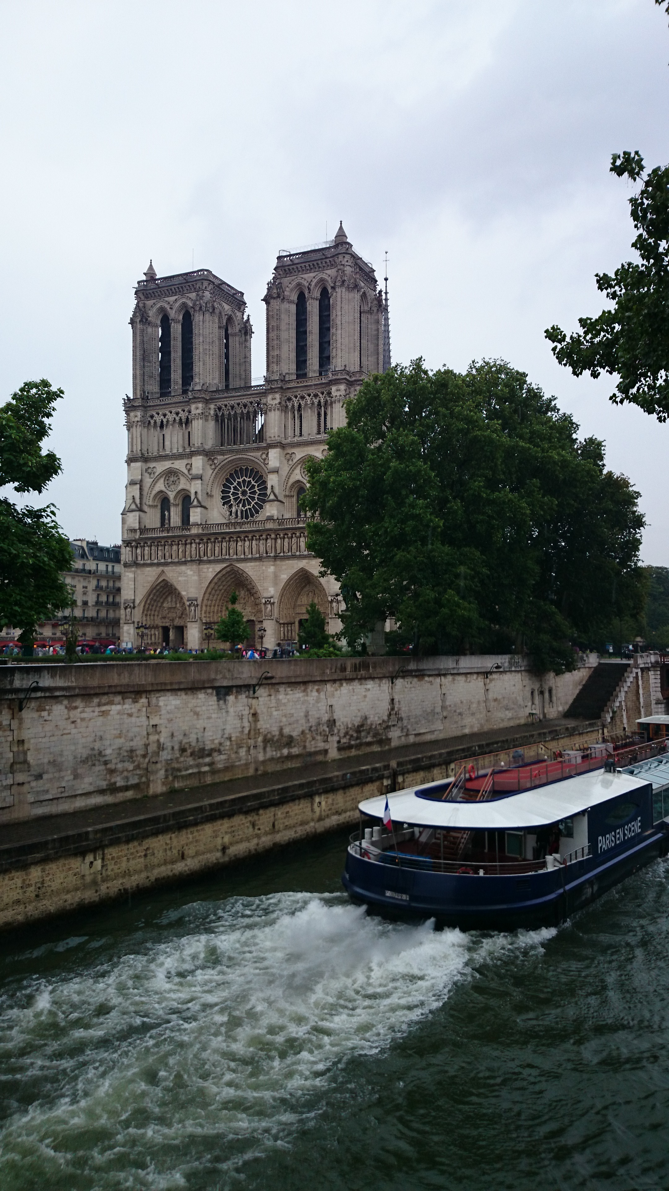 Notre Dame de Paris & Notre-Dame of Reims Cathedrals | Visions of Travel