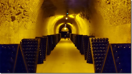 Ruinart winery Reims (17)