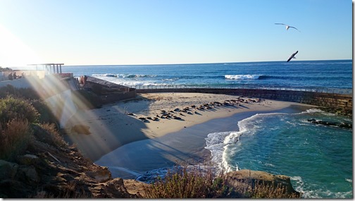 La Jolla Cove Beach - San Diego California (21)