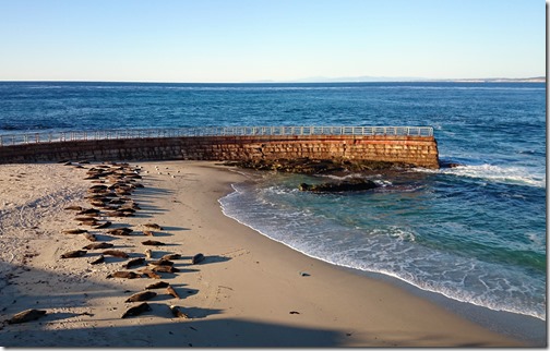 La Jolla Cove Beach - San Diego California (25)