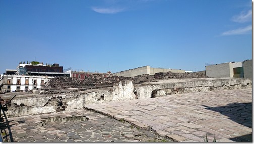 Museo del Templo Mayor Mexico City (4)