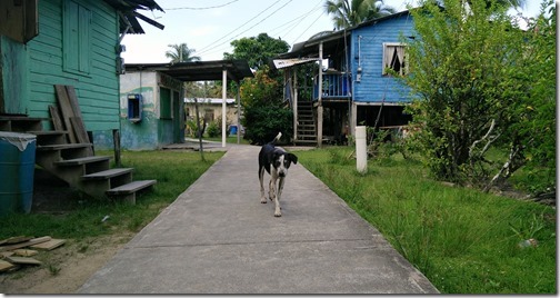 Isla Carenero  Bocas Del Toro Province - Panama (22)
