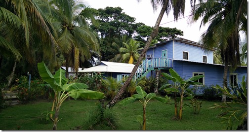 Isla Carenero  Bocas Del Toro Province - Panama (42)