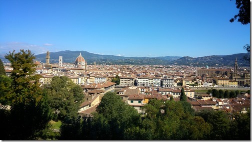 Visions of Florence Italy (15)