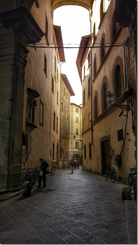 Visions of Florence Italy (7)