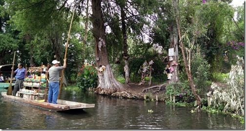 Ancient canals of Xochimilco  Mexico City (30)