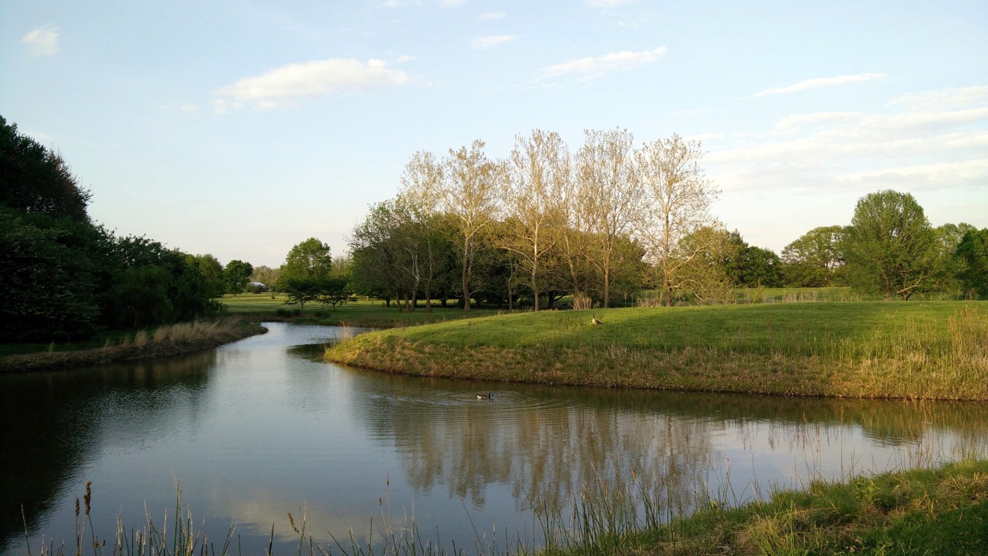 Japan House UIUC Champaign Illinois Visions of Travel