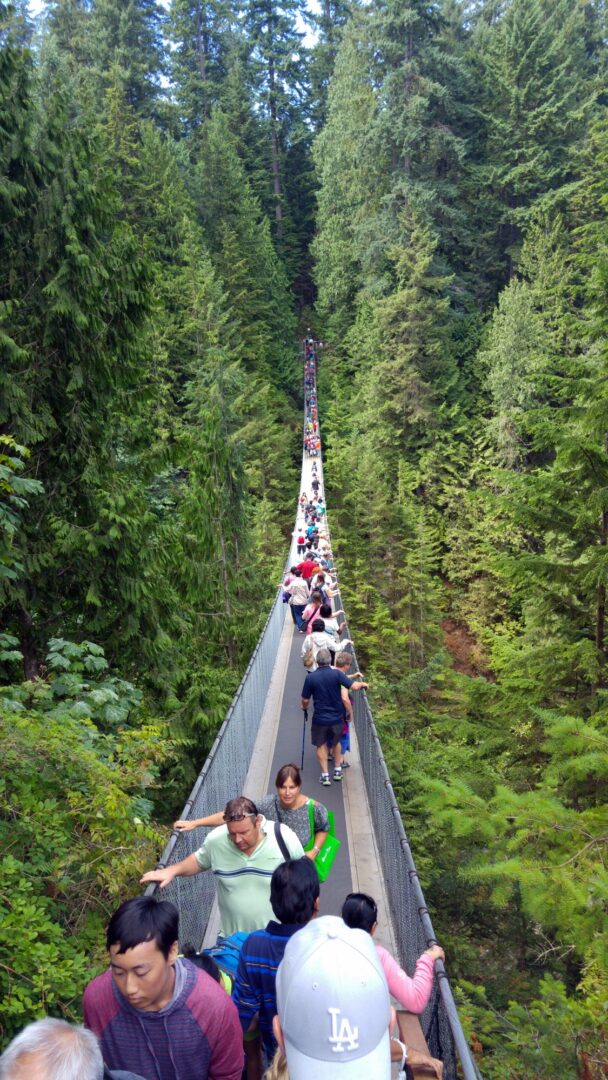 Capilano Suspension Bridge Vancouver Canada Visions of Travel