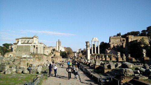 Ancient Palatine Palatino Hill Rome (34)