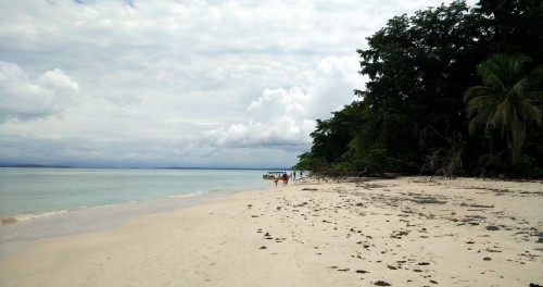 Isla Zapatilla Beaches Bocas del Toro (11)
