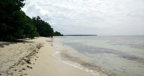 Isla Zapatilla Beaches Bocas del Toro (21)