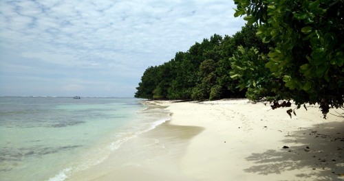 Isla Zapatilla Beaches Bocas del Toro (22)
